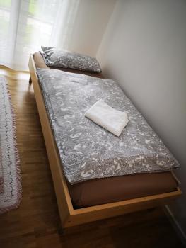 Apartment near fair and central City in few min, with garden, Frankfurt/Main (photo 3)