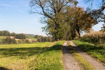 pokoje Cieszyn ul. Braci Milosiernych 8