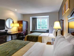 Spark by Hilton Sterling Dulles Airport, Sterling (foto 4)