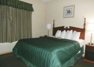Quality Inn & Suites Dublin, Dublin (zdjęcie 2)