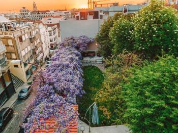 Urban Garden Porto Central Hostel, Porto (zdjęcie 3)