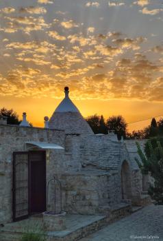 Dimore Storiche - Ulivo di Aldo, Martina Franca (zdjęcie 2)