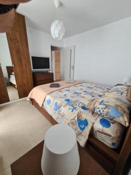 SimpliCity Apartament, Tulcea (fotografie 5)
