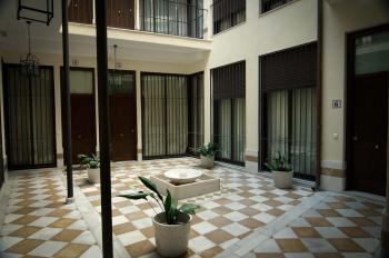 Doña Elvira Carreteria, Málaga (photo 3)