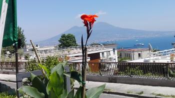 MONOCAMERA con TERRAZZOgiardino -STUDETTE -zona Panoramica POSILLIPO, Neapol (fotografie 2)