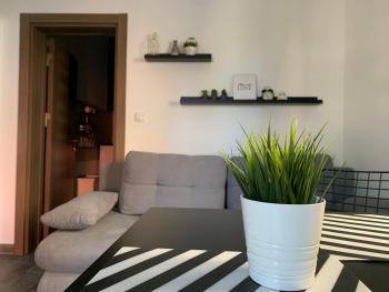 Apartman Spring, Sombor (foto 3)