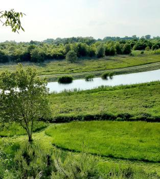 Widokówka, Tarnobrzeg (foto 2)