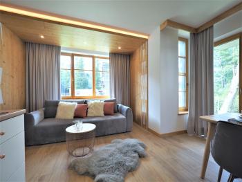 VIP Apartamenty VILLA MODERN, Zakopane (fotografie 2)