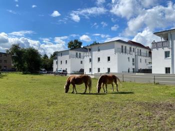 Schöner wohnen im Herzen Oldenburgs, Oldenburg (Foto 2)