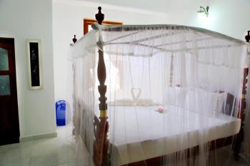 Villa 80, Bentota (photo 4)