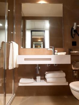 Nash Pratik Hotel, Ginebra (foto 3)