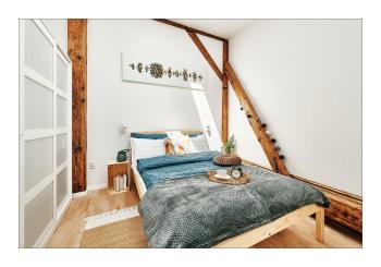 Sunny Apartment at the Heart of Old Town, Cracovie (photo 5)