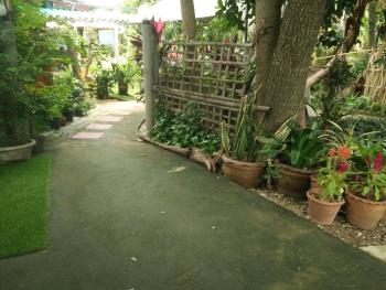 ต้งโฮมหละปูน, Lamphun (zdjęcie 4)