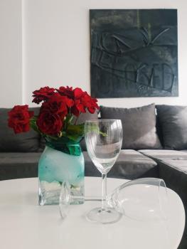 Apartment IRIS, Nowy Sad (zdjęcie 2)