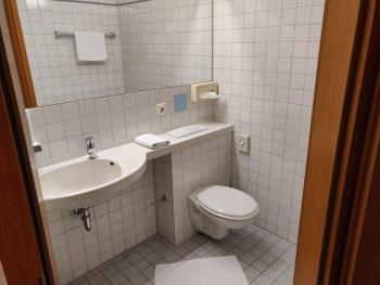 Landgasthof Hotel Grüner Baum, Norimberga (foto 4)