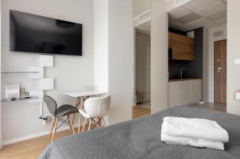 Wola Chic Silver Studio by BookingHost, Warsaw (photo 4)
