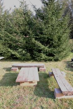Holiday house with sauna, Riga (photo 3)