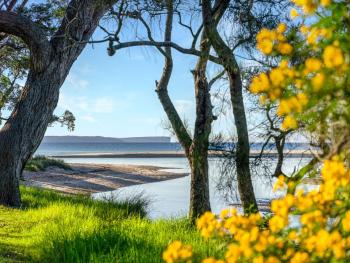 Tapalla Point at Huskisson, Huskisson (fotografie 3)