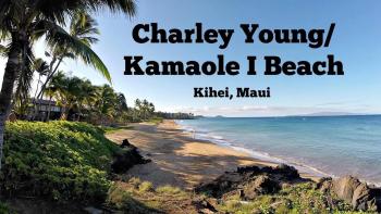 1BD Condo with Ocean Views: 40% OFF, Self Check-In, Kihei (photo 2)