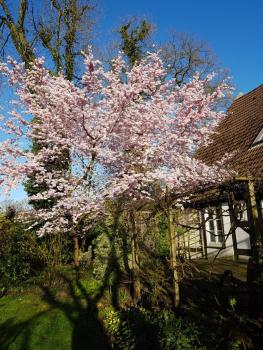 Lieblingsplatz, Brema (foto 4)