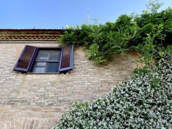 Agriturismo Quercesecca - Nature & Relax, Marina di Grosseto (zdjęcie 3)