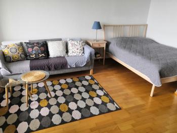 Apartment with sauna near the Saimaa lake, Lappeenranta (photo 3)