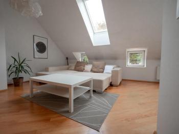 Strict city apartments, Liubliana (foto 3)