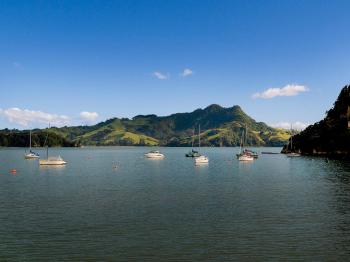 Paradise in Flaxmill Bay - Flaxmill Bay Home, Cooks Beach (foto 3)