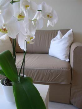 City Lodging Apartments, Berlino (foto 4)