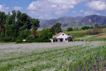 Holiday Home Finca Retama, Ronda (zdjęcie 5)