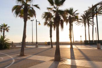 Sol Playa Suites, Valence (photo 3)