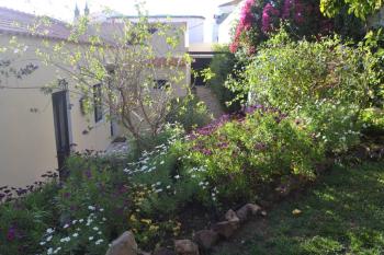 Garden in the City, Silves (photo 3)