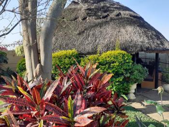 Cottage Sleeps 4 with Pool, Harare (foto 4)