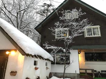 Pension Razteca, Hakuba (Foto 2)