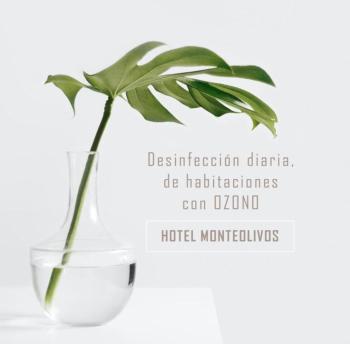 AACR Hotel Monteolivos, Sevilla (fotografie 4)