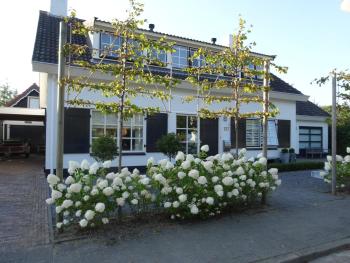 Duinoord Domburg, Domburg (foto 2)
