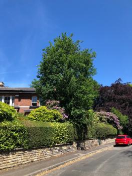 Chorlton Garden Rooms. Relax, work, stay and play., Manchester (foto 5)