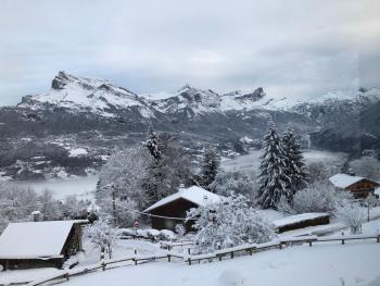 le mazot, Combloux (fotografie 3)