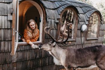 Igluhut – Sleep with reindeer, Espoo (zdjęcie 2)