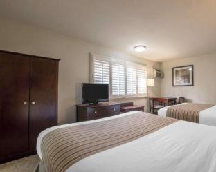 Rodeway Inn Convention Center, Los Angeles (foto 3)
