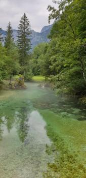 Apartment Sonce, Bohinj (zdjęcie 4)