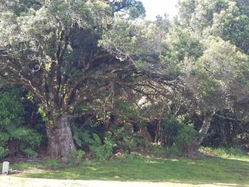Riversong, Ohakune (zdjęcie 5)