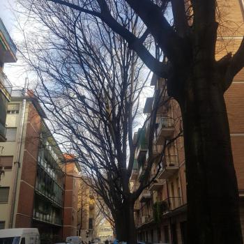 Laghirla, Modena (zdjęcie 3)
