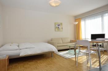 Very central & bright studio - Vineyard 51, Curych (fotografie 2)