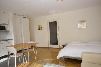 Very central & bright studio - Vineyard 51, Curych (fotografie 4)
