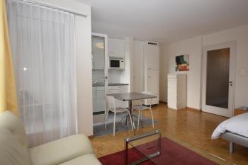 Spacious studio with balcony - Vineyard 71, Zurych (zdjęcie 4)