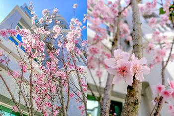 林居民宿, Jinhu (Foto 5)
