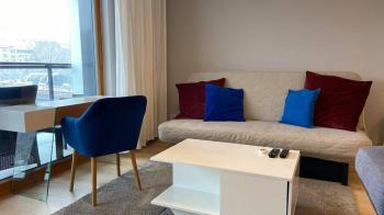 Apartament studio z widokiem na Odrę Bulwary Książęce, Wroclaw (foto 5)