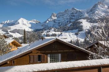 Baldrian C14, Adelboden (fotografie 3)