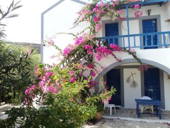 Aloni, Kamilari (foto 3)